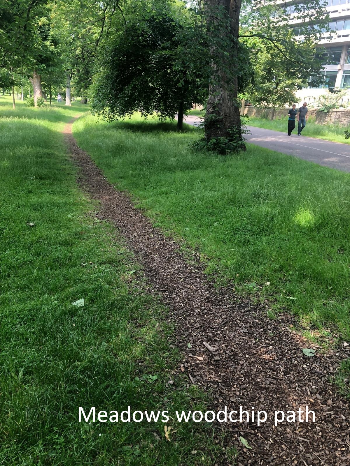 Example of a natural surfaced walking path