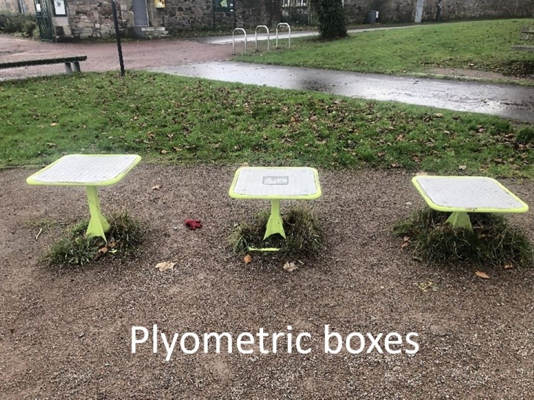 Outdoor plyometric exercise boxes